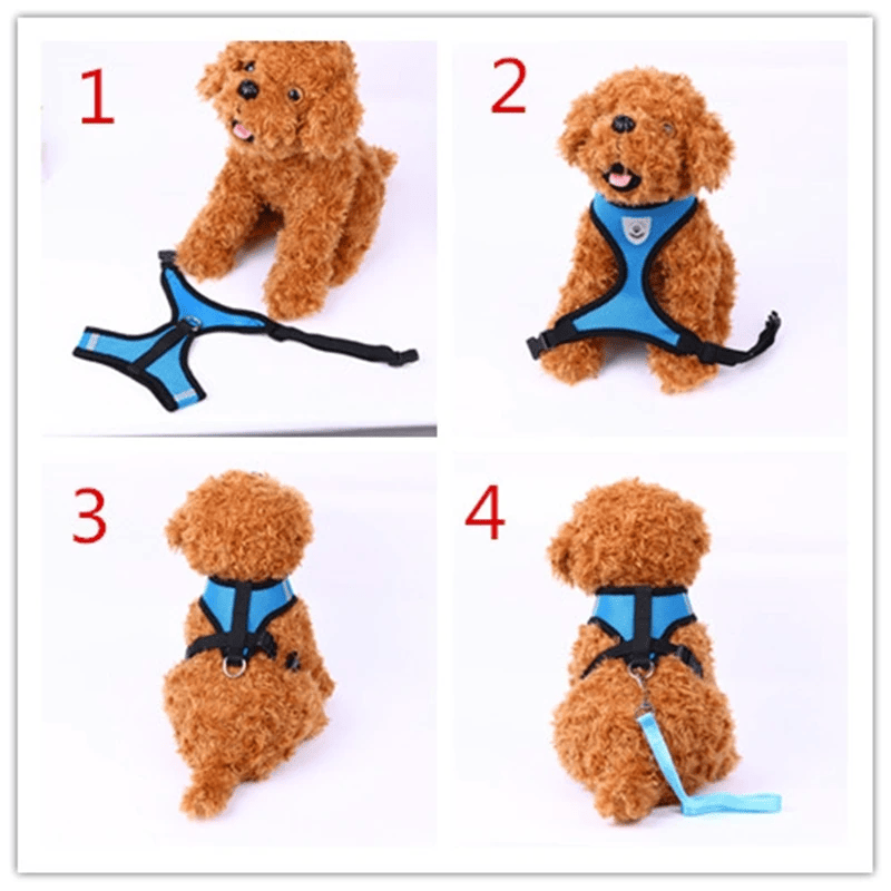 Cat, Dog Pet Harness Adjustable Control Vest Reflective Leash