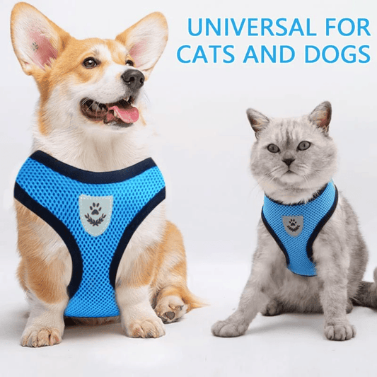 Cat, Dog Pet Harness Adjustable Control Vest Reflective Leash