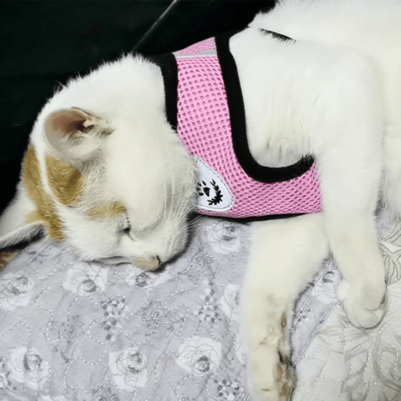 Cat, Dog Pet Harness Adjustable Control Vest Reflective Leash