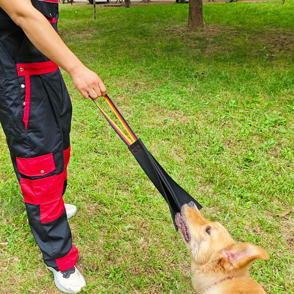 Crazy Horse-Dog Bite Cloth Dog Training Supplies Interactive Cowhide Bite Pet Toy