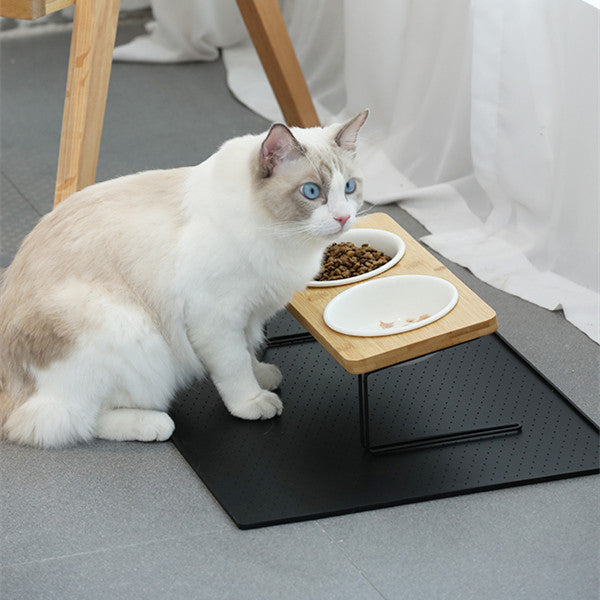 Cat Ceramic Water Bowl, Tall Drinking