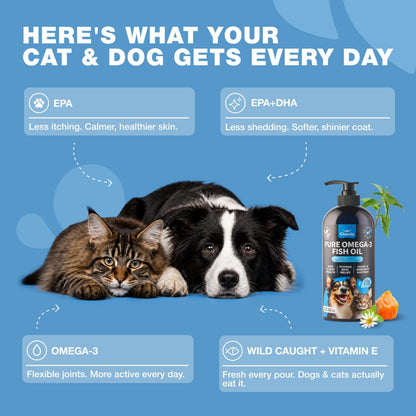 Infographic showing benefits of Chewia Pure Omega-3 Fish Oil for cats and dogs including skin coat and joint health