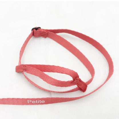 Parrot Flying Rope And Bird Harness