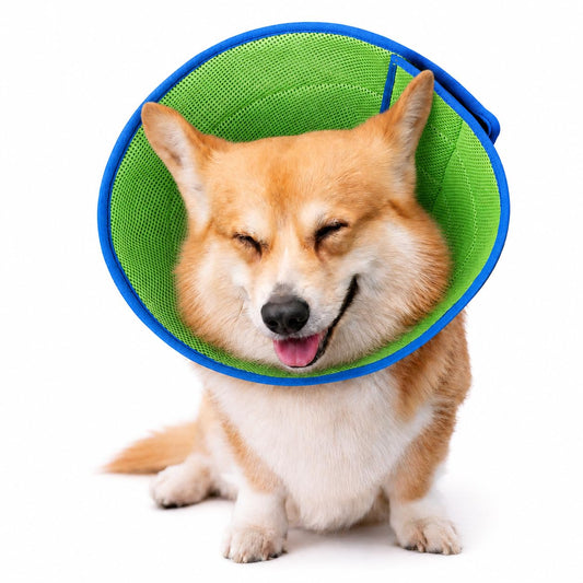 Soft Dog Cone Collar To Stop Licking After Surgery, Comfy Dog Cone Alternative For Large, Medium, Small Dogs, Cats, Adjustable Washable E-Collar For Spay Neuter Recovery And Neck Protection